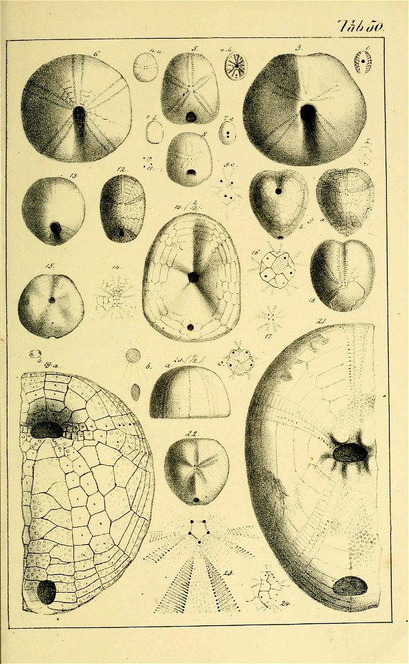 n208_w1150