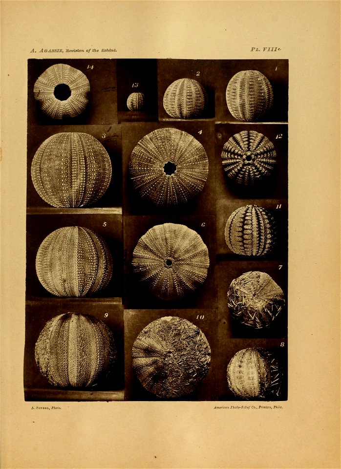 n154_w1150