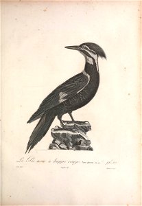 n176_w1150