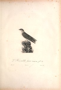 n148_w1150