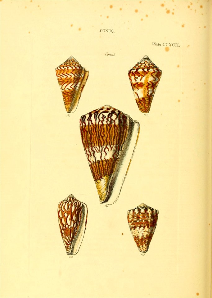 n603_w1150
