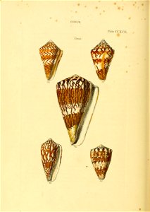 n603_w1150