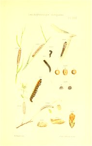 n292_w1150