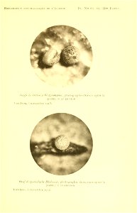 n232_w1150