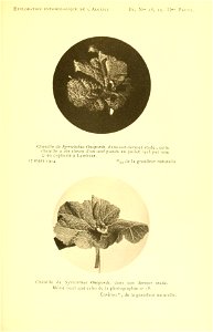 n172_w1150