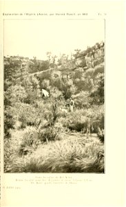 n158_w1150