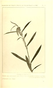 n128_w1150