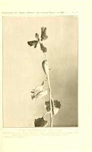 n98_w1150