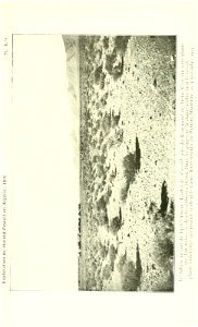 n624_w1150