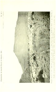 n594_w1150