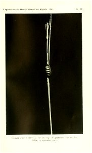 n504_w1150