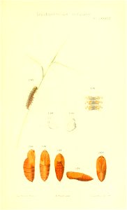 n444_w1150