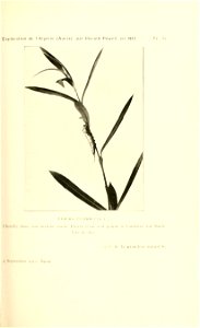 n126_w1150