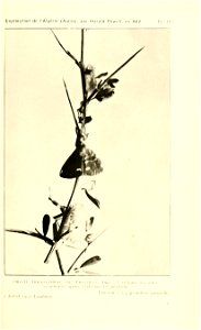 n96_w1150