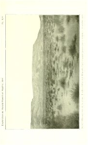 n592_w1150