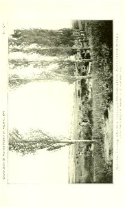 n532_w1150