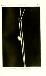n502_w1150