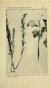 n210_w1150