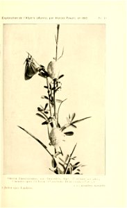 n94_w1150