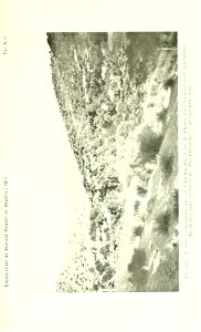 n560_w1150
