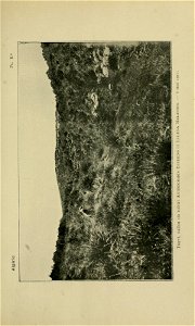 n238_w1150
