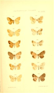 n308_w1150