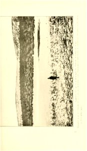 n272_w1150