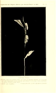 n92_w1150