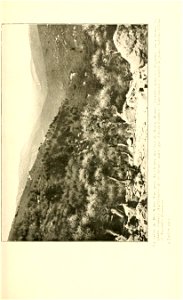 n150_w1150