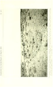 n616_w1150