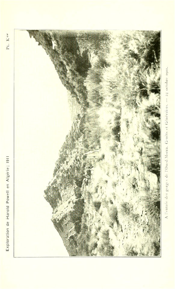 n586_w1150