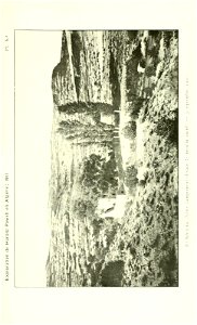 n556_w1150