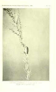 n496_w1150