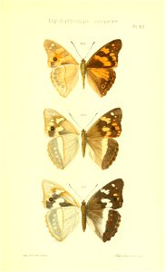 n374_w1150