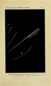 n232_w1150