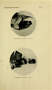 n172_w1150