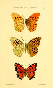 n574_w1150