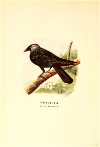 n243_w1150