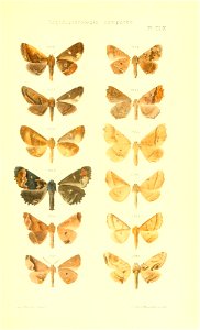 n492_w1150