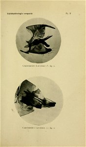 n170_w1150