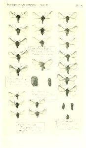 n452_w1150