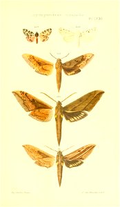 n422_w1150