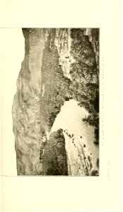 n264_w1150