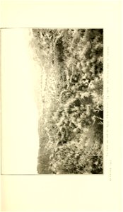 n234_w1150