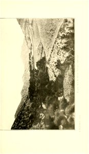 n204_w1150