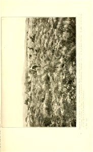 n144_w1150