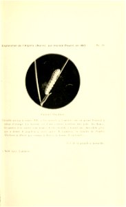 n114_w1150