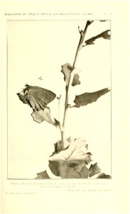 n84_w1150