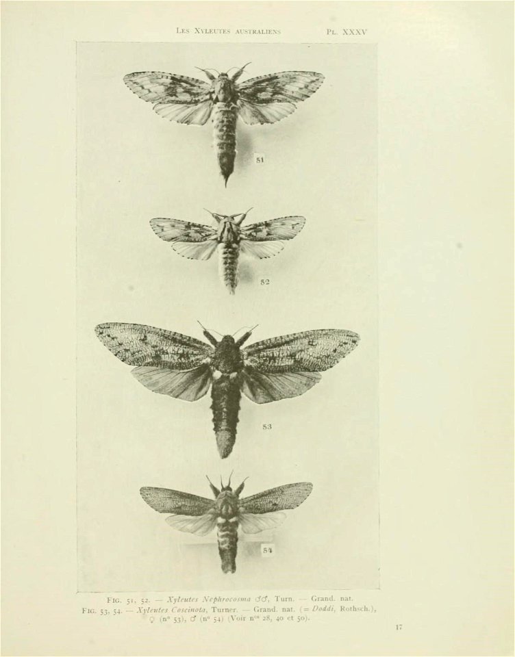 n136_w1150