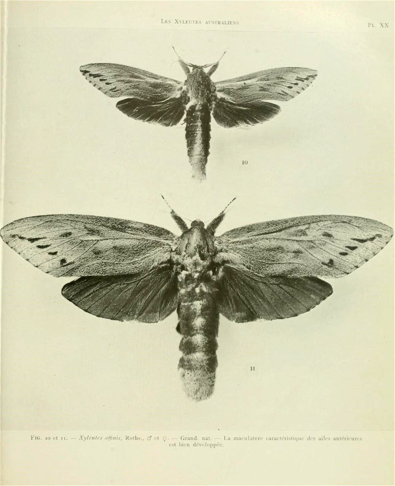 n106_w1150